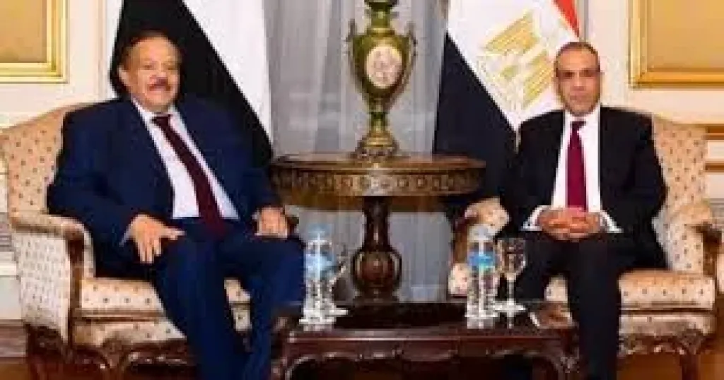 وزيرا خارجية مصر والسودان 