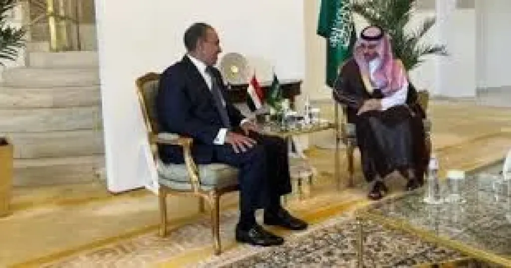 وزيرا خارجية مصر والسعودية 