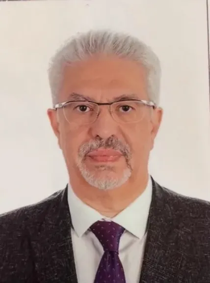 المهندس هاني