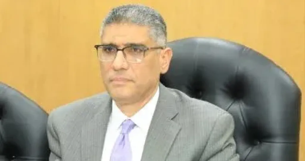 المهندس عادل النجار محافظ الجيزة