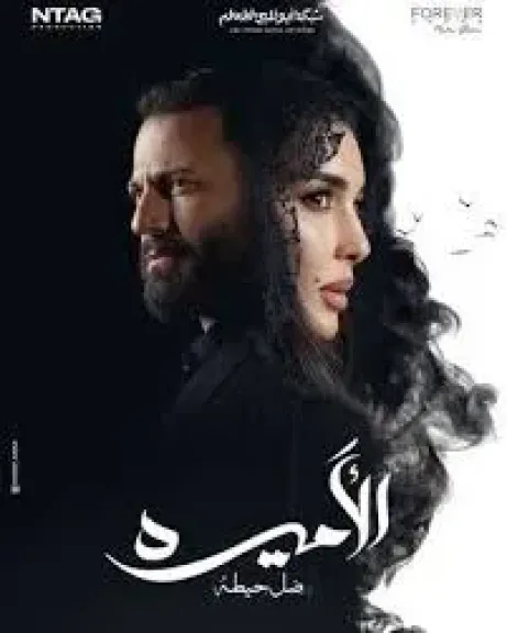 مسلسل الأميرة ظل حيطه