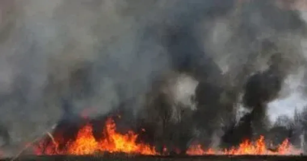 حريق