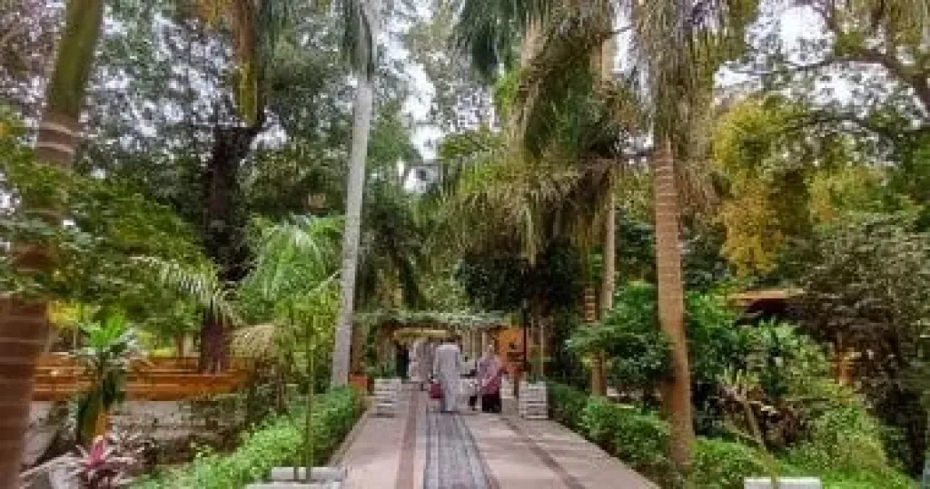 الحديقة النباتية