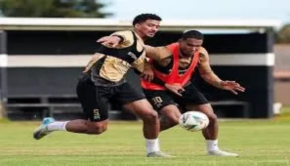 الزمالك وستيلينبوش