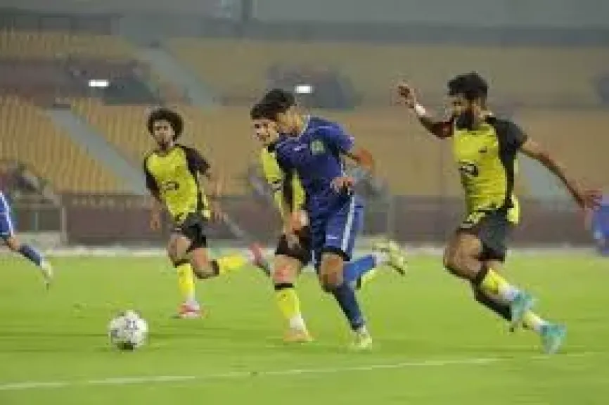 دوري المحترفين