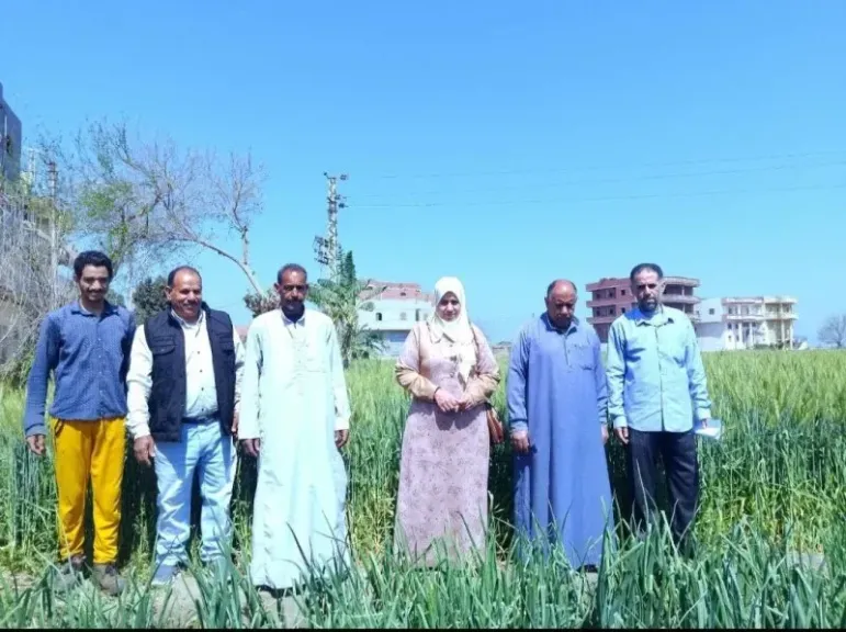 تفقد الأراضى الزراعية 