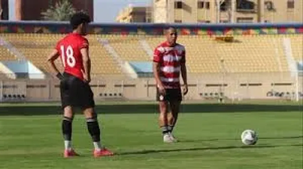 دوري المحترفين