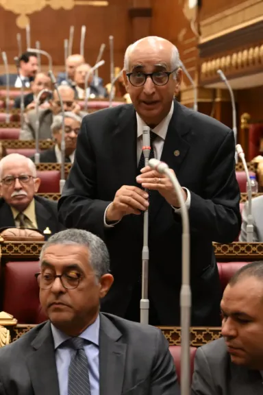 النائب حسانين توفيق