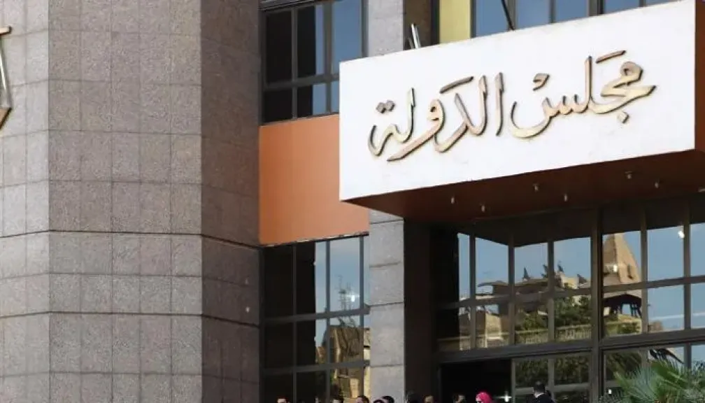 مجلس الدولة 