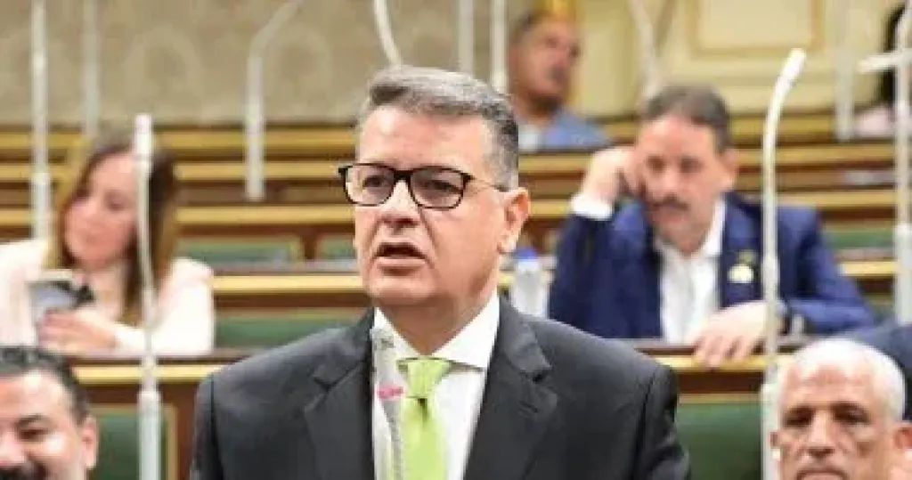 النائب طارق رضوان رئيس لجنة حقوق الإنسان بمجلس النواب
