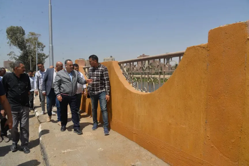 محافظ أسيوط 