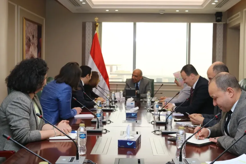 وزير الكهرباء
