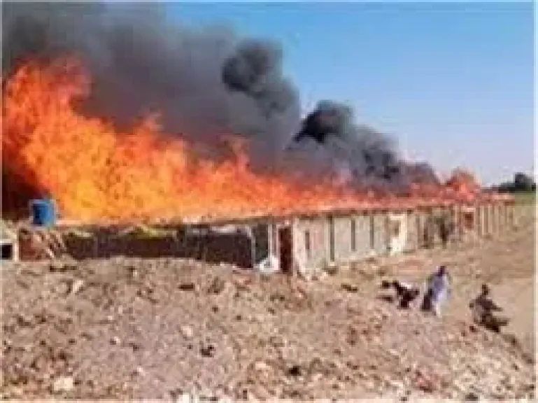 حريق مزرعة