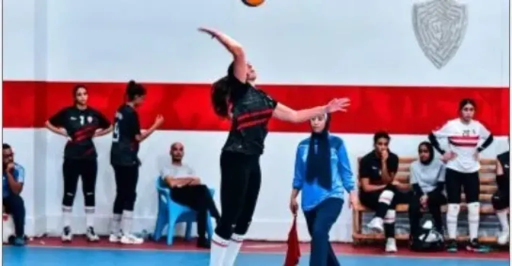 سيدات الطائرة