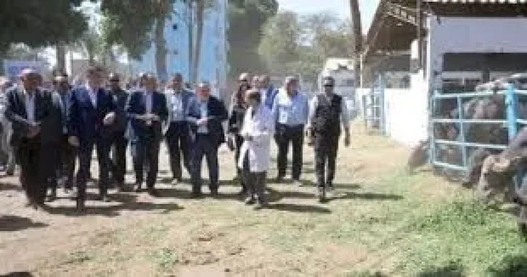 جانب من الجولة 