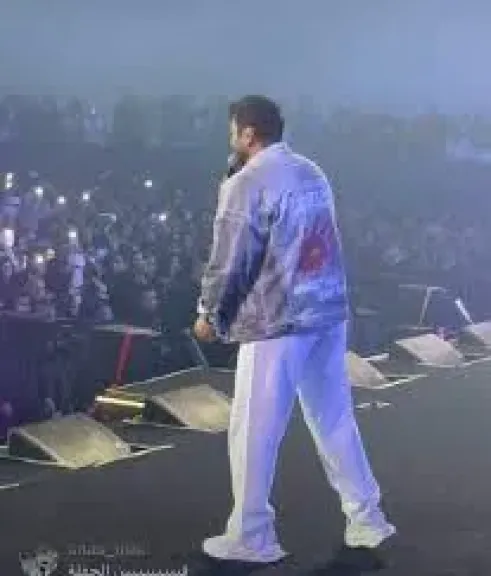 تامر حسني