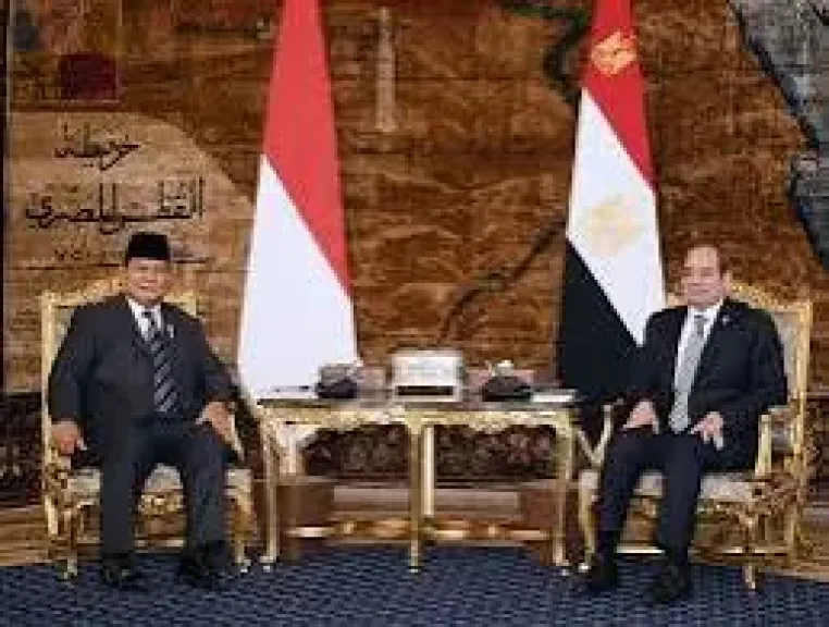 السيسي ورئيس اندونيسيا 