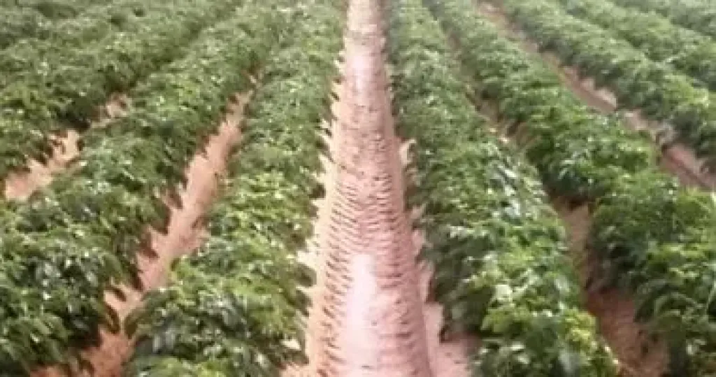 معلومات المناخ