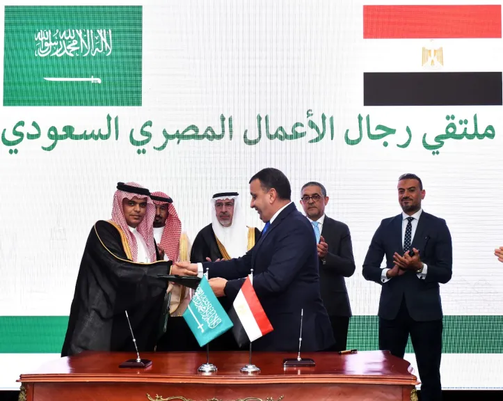 استثمارات مصرية سعودية 