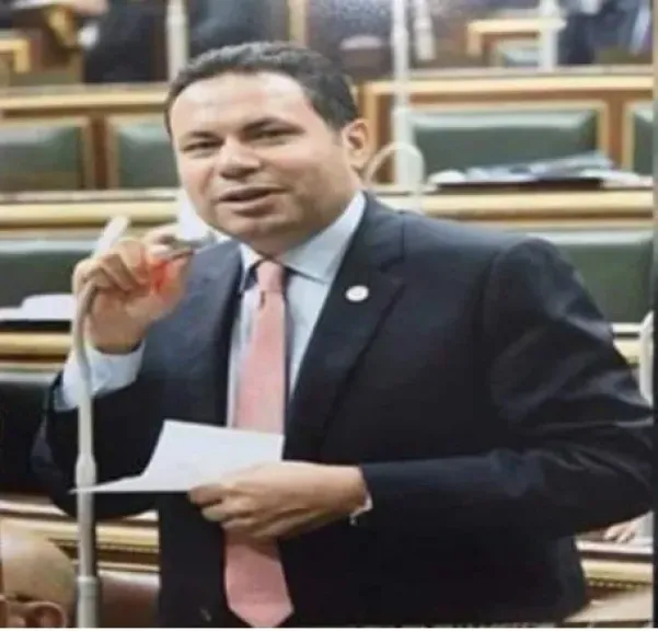 النائب هشام الحصرى