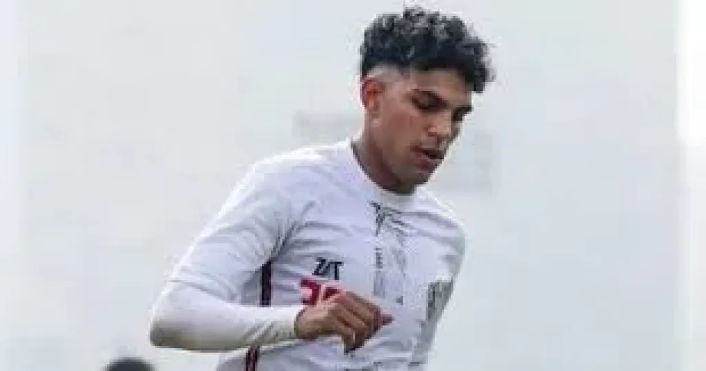 محمد السيد
