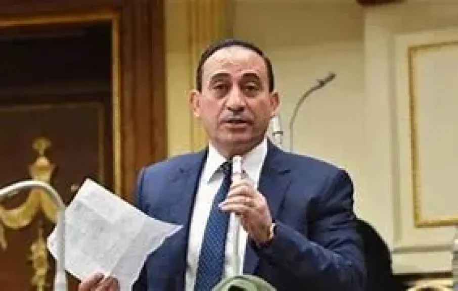 النائب محمد زين الدين