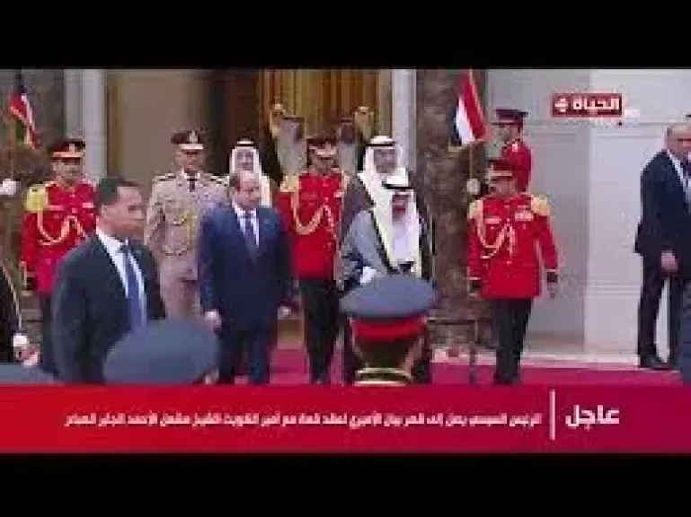 السيسي