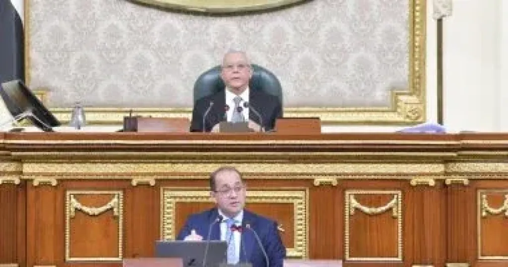 أحمد كجوك وزير المالية خلال الجلسة العامة لمجلس النواب