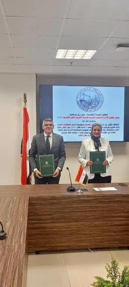 نقل الكهرباء