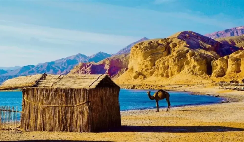 منتجع روكسي