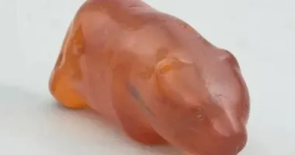 دب كهرمانى