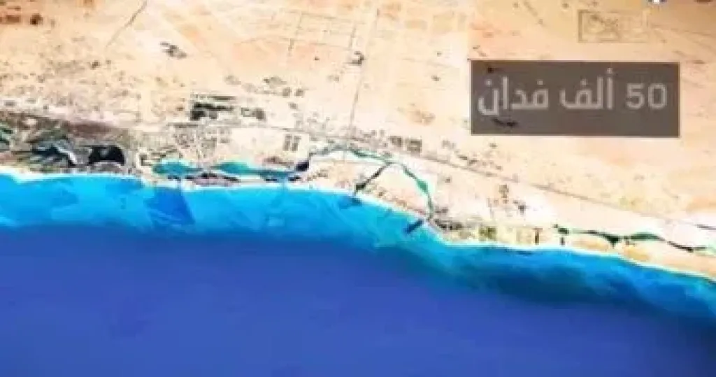صورة من الفيلم