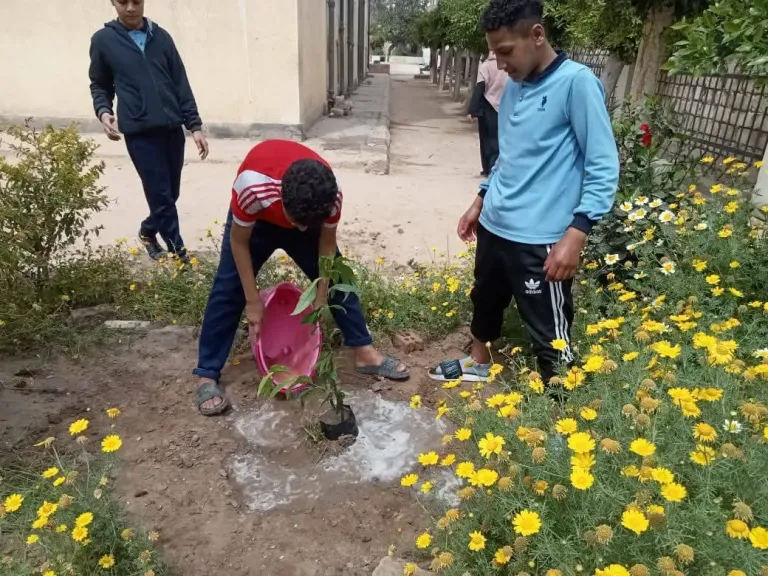تشجير المدارس 