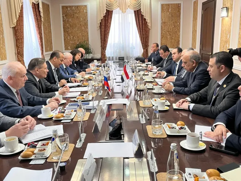 وزير الكهرباء 