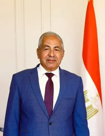 النائب اللواء أحمد العوضي 