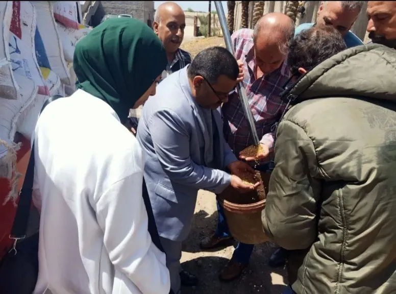 جانب من التوريد