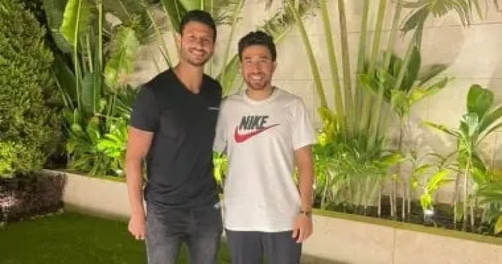 تريزيجيه والشناوى
