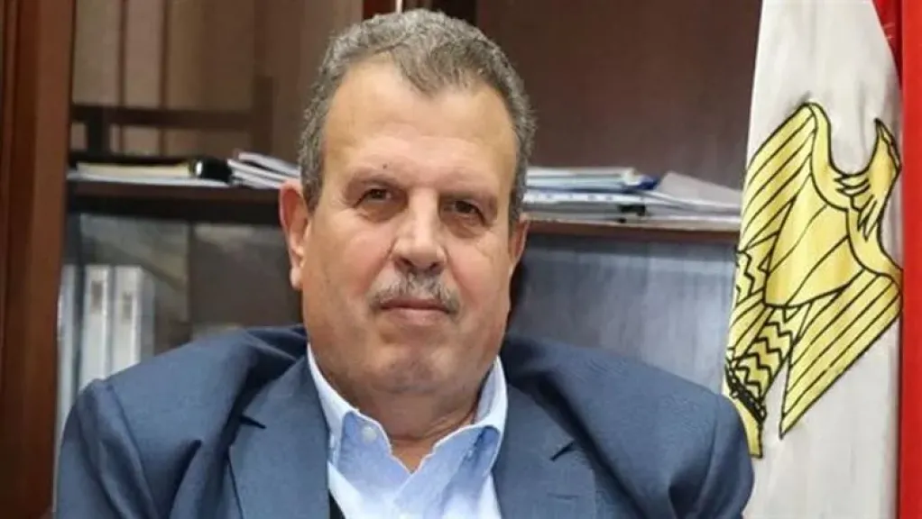 المهندس محمد عامر