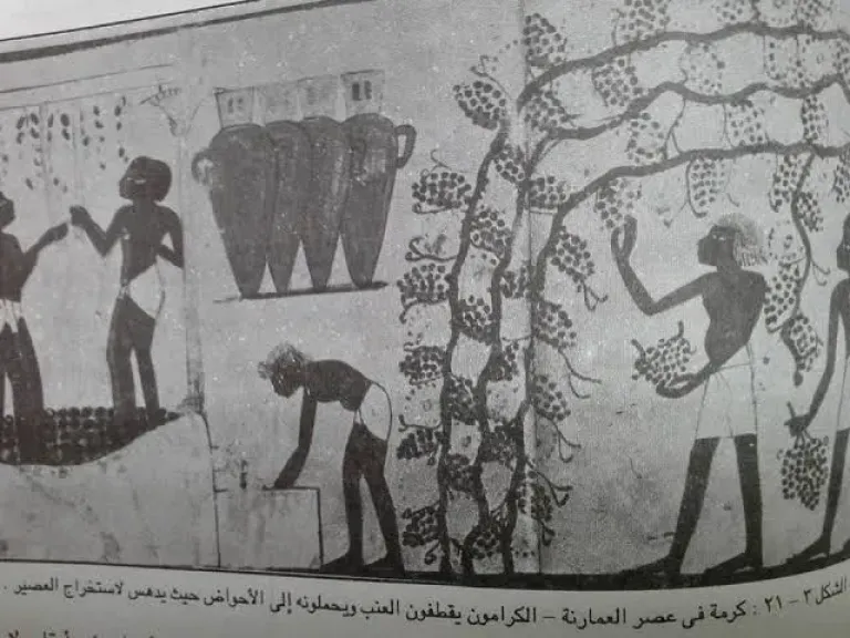 تاريخ الري