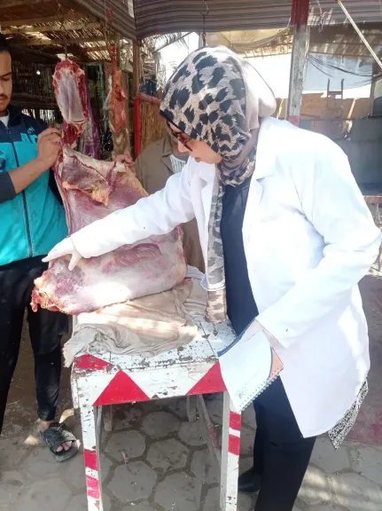 جانب من المضبوطات