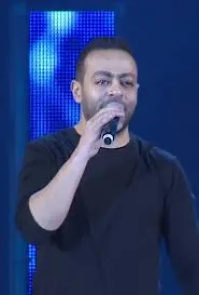 الفنان تامر عاشور