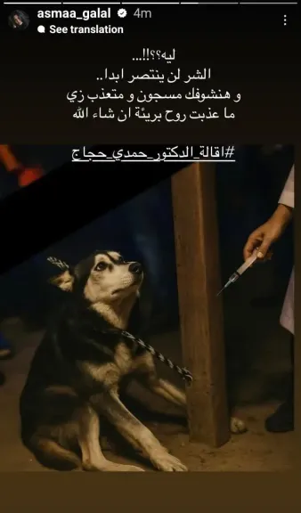 مقتل كلب