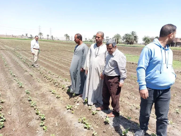 جانب من متابعه 