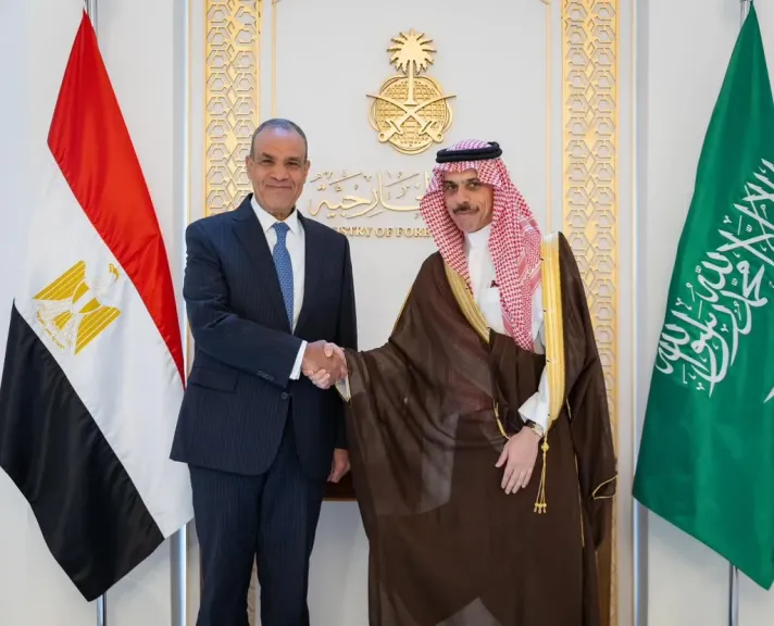 وزير الخارجية السعودي والمصري
