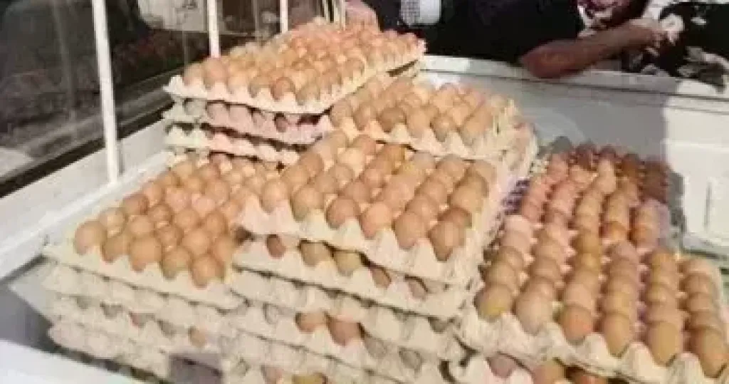 طبق البيض