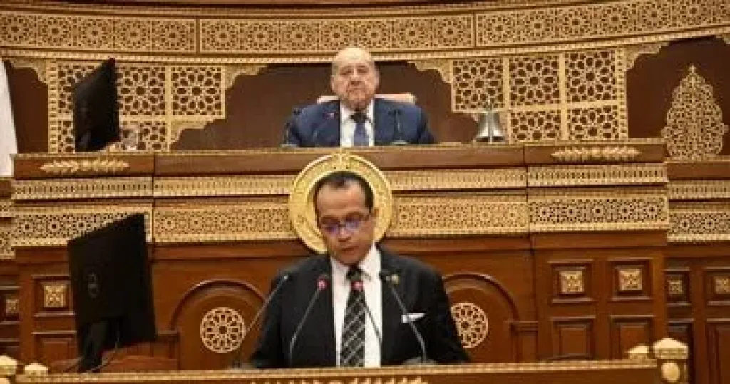 النائب هشام ابو على