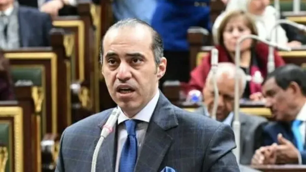 المستشار محمود فوزي