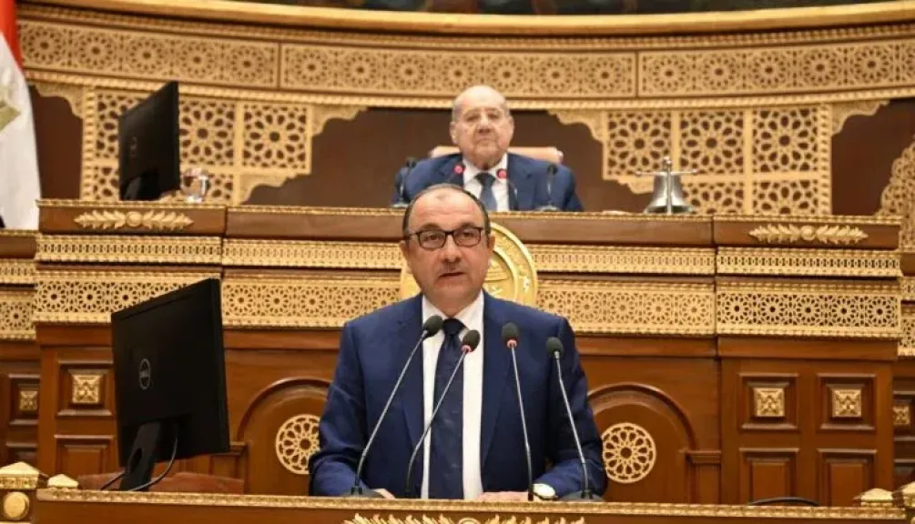 وزير قطاع الأعمال