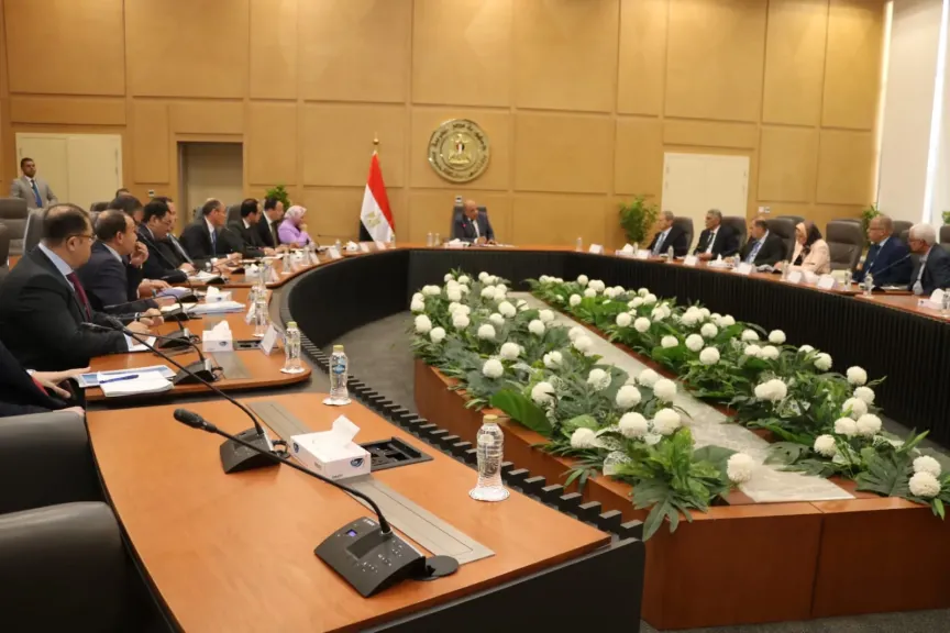 وزير الكهرباء