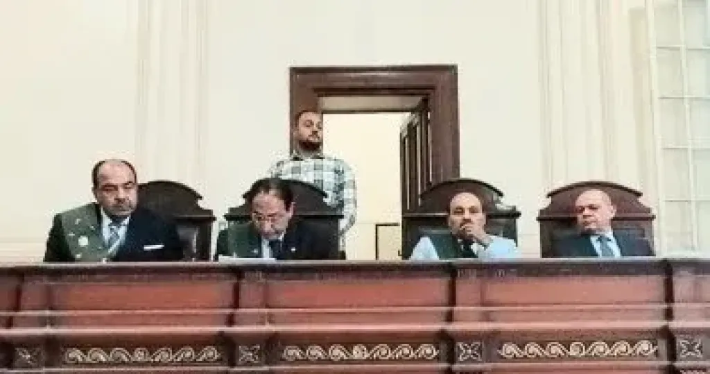 هيئة المحكمة برئاسة المستشار محمد عبد الحميد الخولي